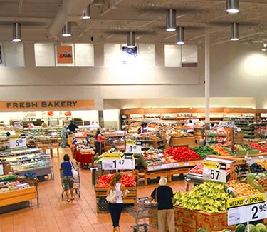 Several Natural Light tubular skylights installed in grocery store thumb